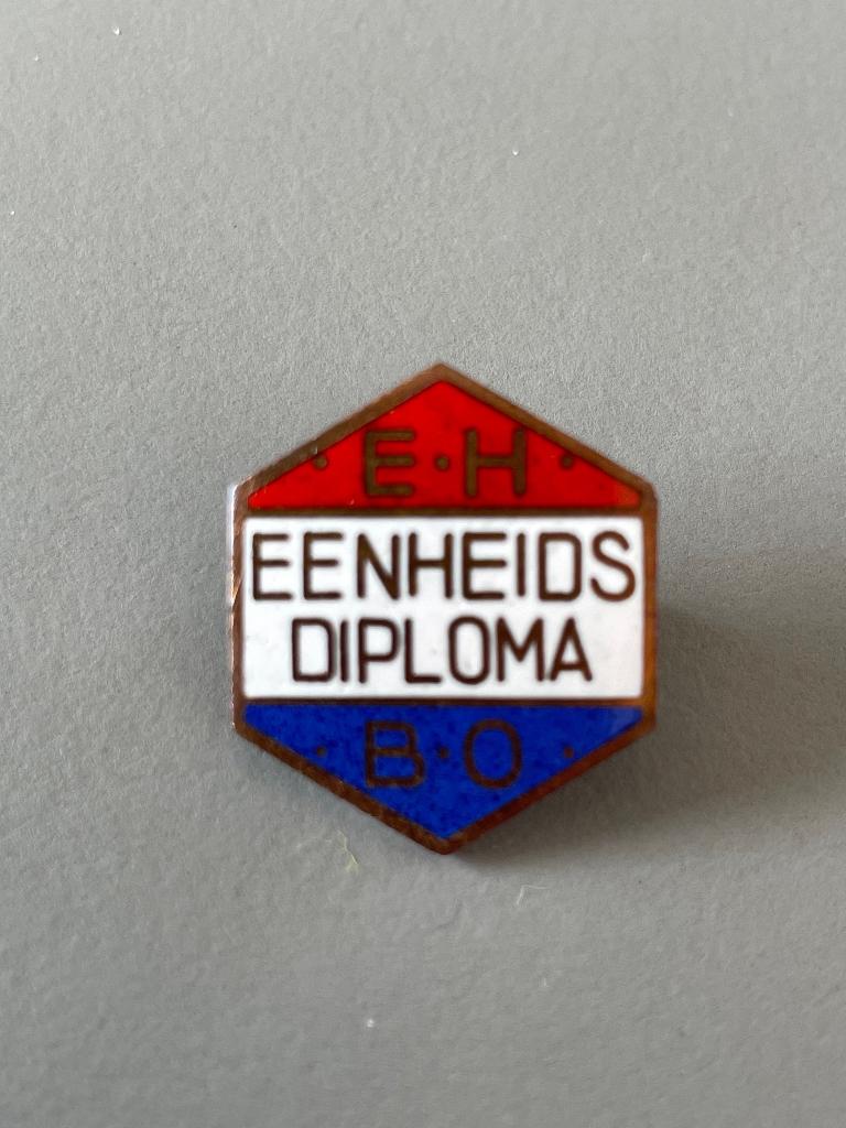 Emaille sapeldje EHBO Eenheidsdiploma, Ophalen, Gebruikt, Overige onderwerpen, Speldje of Pin