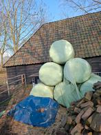 Hooi balen folie balen voordroog, Dieren en Toebehoren, Dierenvoeding, Ophalen of Verzenden, Vee