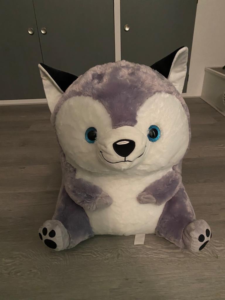 Grote husky knuffel, Overige karakters, Ophalen, Zo goed als nieuw, Hond