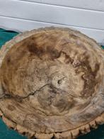 bloempot schaal boomstam groot, Ophalen of Verzenden, 'T Olde Gre-j, Info@toldegrej.nl, Endepoelstraat 20f Didam