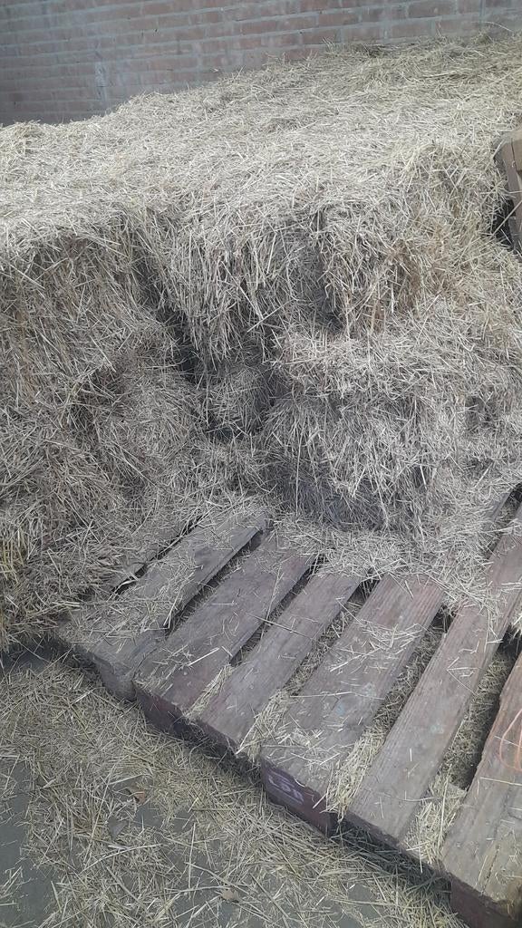 Pakjes perfect hooi €4.50