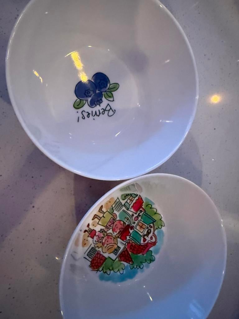 34 2 fruitbakjes melanine van het merk Blond Amsterdam., Huis en Inrichting, Keuken | Servies, Verzenden, Nieuw, Aardewerk, Blond Amsterdam