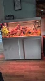Eheim vivaline 240 liter aquarium (leeg), Ophalen, Zo goed als nieuw, Leeg aquarium