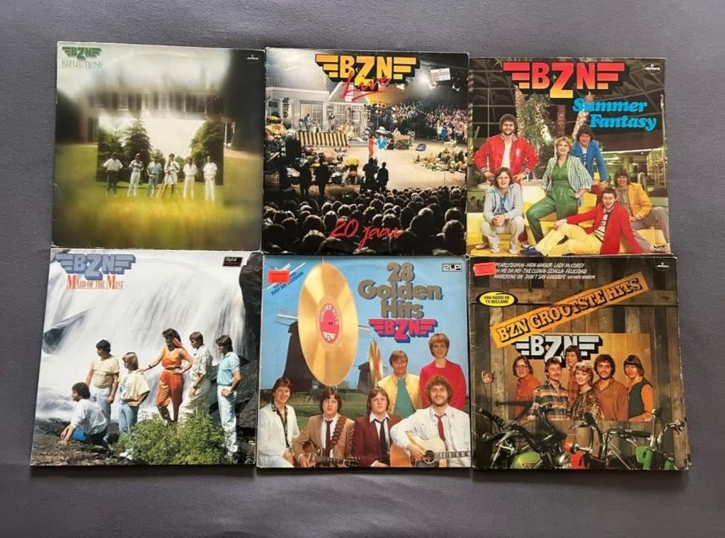 12 LP's BZN (ook per stuk te koop), Ophalen of Verzenden, 1980 - 1989, Gebruikt, 12 inch