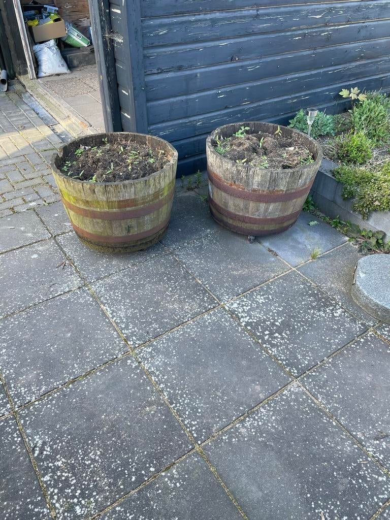 2 Verrijdbare Oude Whisky Tonnen als Bloembakken - Ø 60cm, Ophalen, Gebruikt, Rond, 60 tot 100 cm