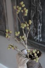 BRYNXZ Alnus grande green / dadeltak groen, Www.jufbrocante.nl, Www.jufbrocante.nl, Nieuw, Ophalen of Verzenden