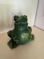 Groene kikker met bolle buik, Ophalen of Verzenden, Nieuw, Mens