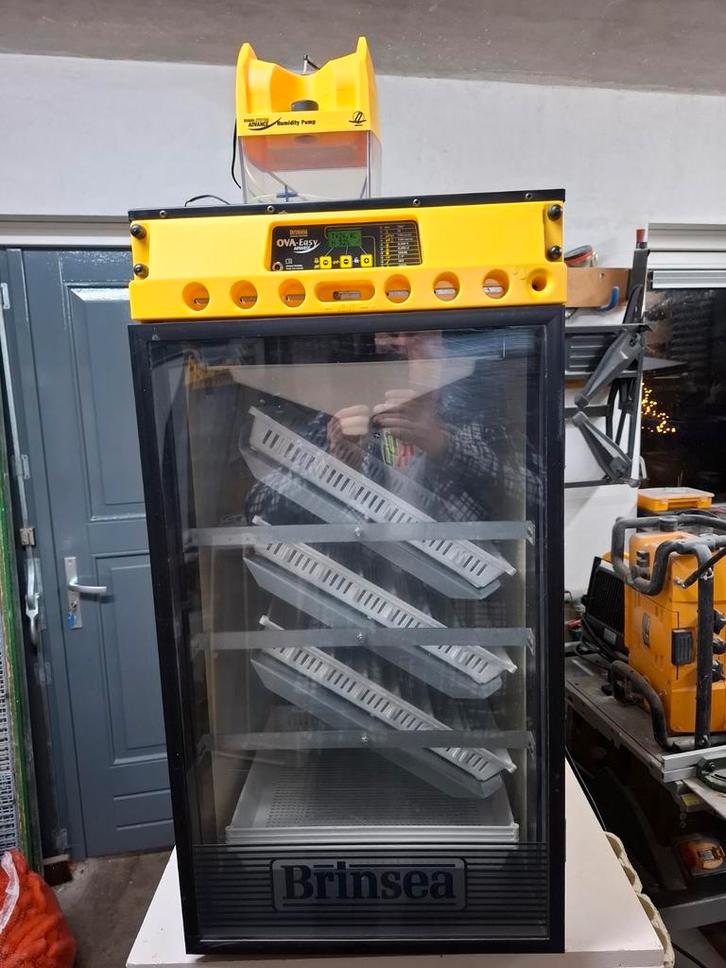 Brinsea Ova-Easy advance 380 EX, Dieren en Toebehoren, Pluimvee | Toebehoren, Gebruikt, Broedmachine, Ophalen