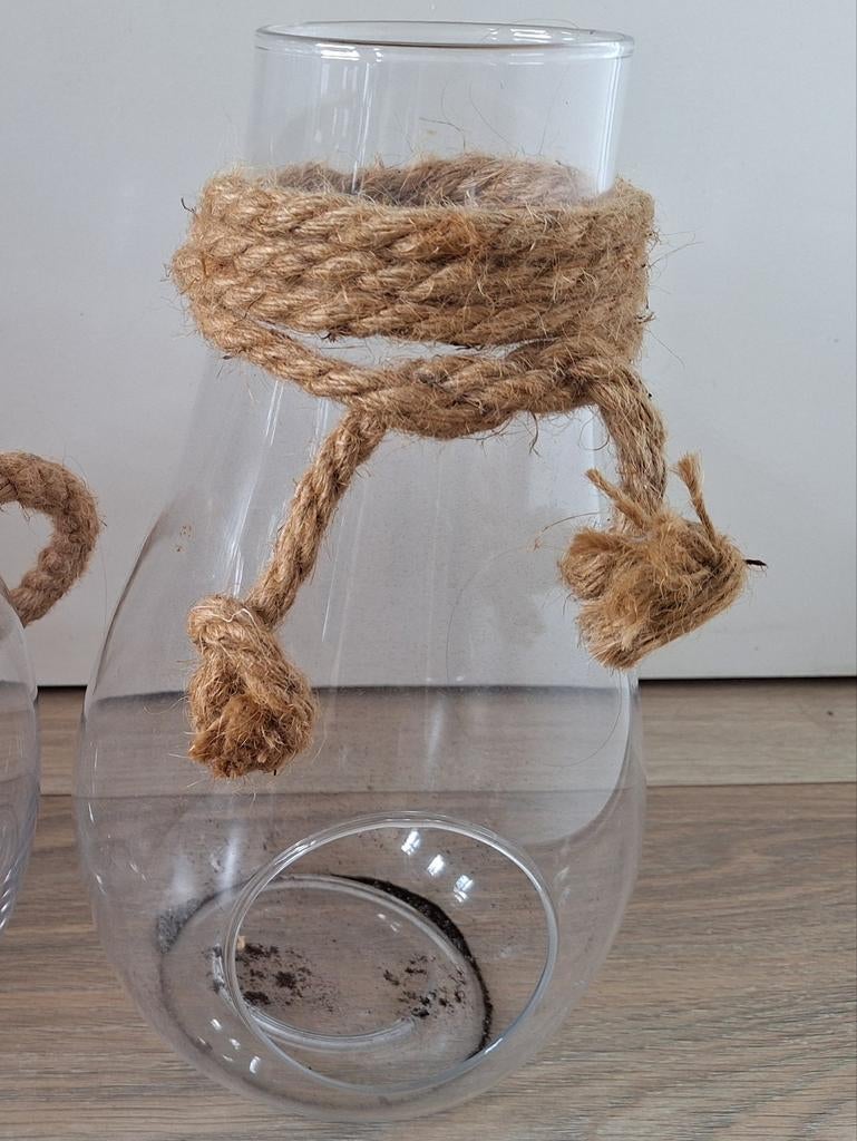 Glazen planten terrarium, Ophalen