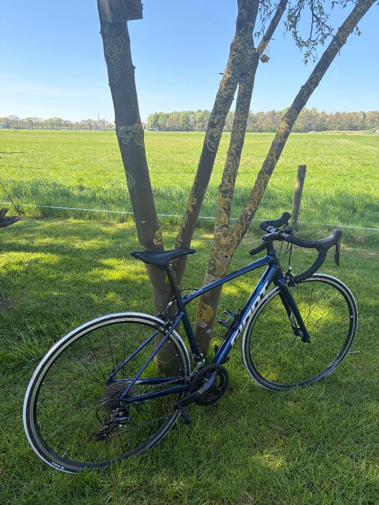 Giant Contend Dames Racefiets, Ophalen, 28 inch, Gebruikt, Velgrem