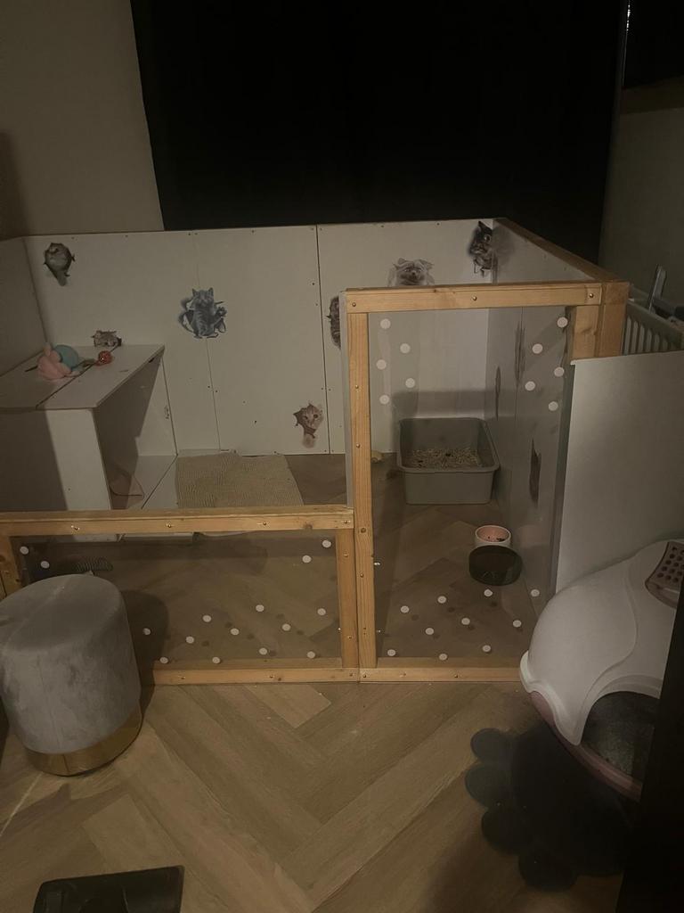 Kitten ren, Ophalen, Gebruikt, Rechthoekig