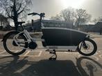 Urban Arrow Performance Line elektrische bakfiets – wit, Gebruikt, Elektrisch, 2 kinderen, Ophalen