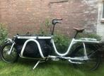 Johnny Loco Coupe bakfiets botanical, Ophalen, Gebruikt, Johnny Loco, Huif