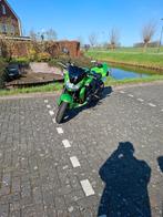 Kawasaki Z750, Particulier, Naked bike