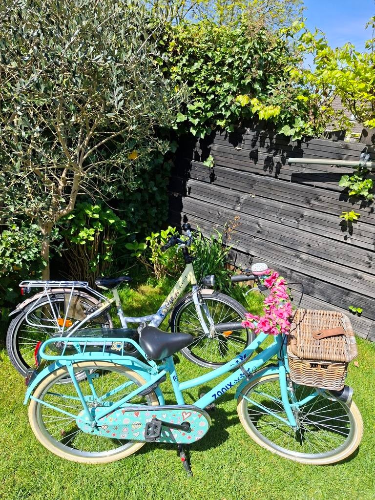 ALPINA 24 INCH MET 3 VERSNELLINGEN EN ZONIX 24 INCH ZONDER, Fietsen en Brommers, Fietsen | Meisjes, Terugtraprem, Alpina, Versnellingen