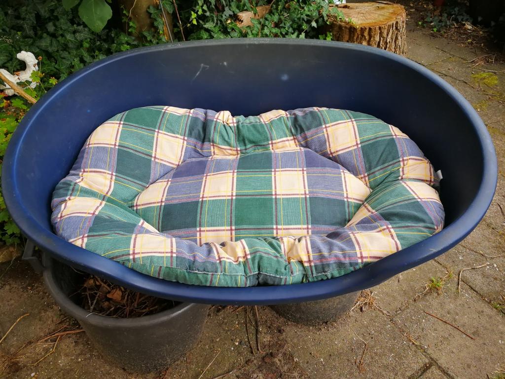 Hondenmand met kussen, Dieren en Toebehoren, Ophalen, Gebruikt, Overige