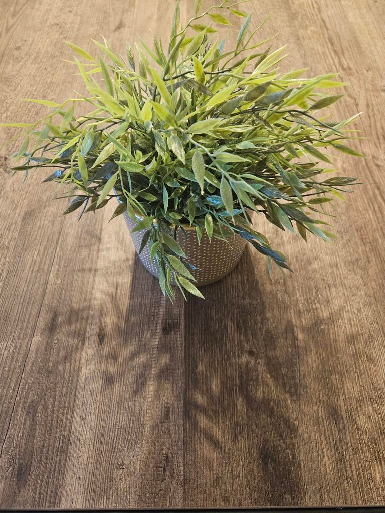 Decoratieve kunstplant, Ophalen, Groen, Kunstplant, Zo goed als nieuw