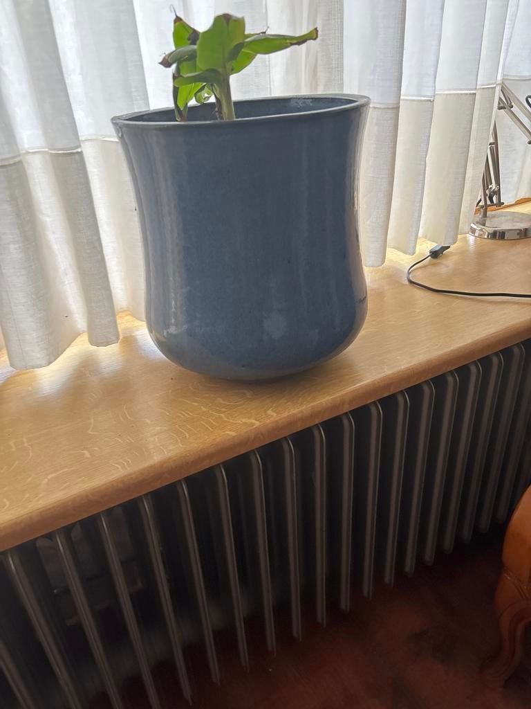 Blauwe bloempot, Tuin en Terras, 25 tot 40 cm, Gebruikt, Rond, Binnen