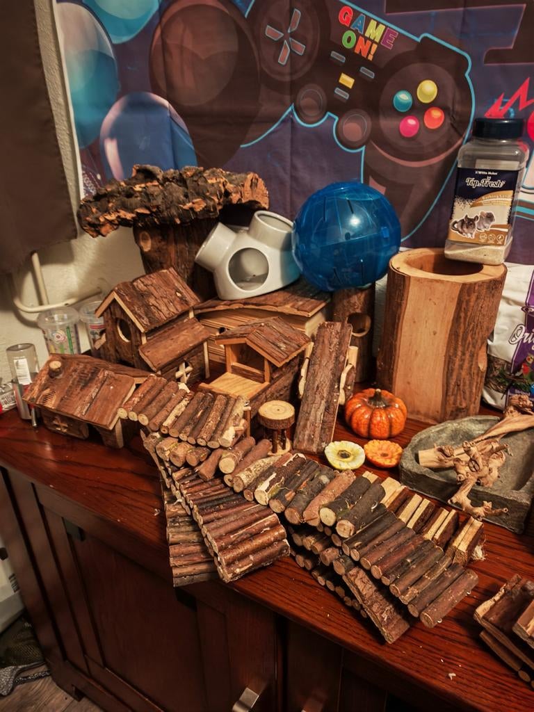 Hamster benodigdheden, Ophalen