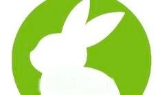 Konijn Vakantie opvang