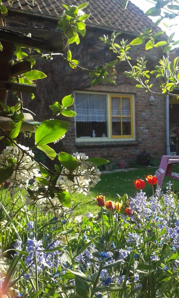 Zoutelande, Zeeland, vakantiehuis mei, Vakantie, Vakantie | Aanbiedingen en Last minute, Eigenaar