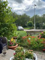 Woningruil, Ophalen of Verzenden, 25 tot 50 cm, Overige typen