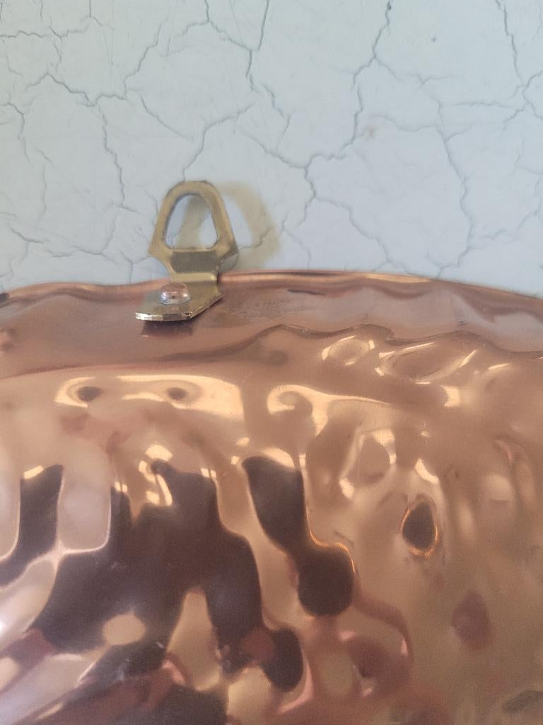 Vintage koperen vis kan hangen, Ophalen of Verzenden