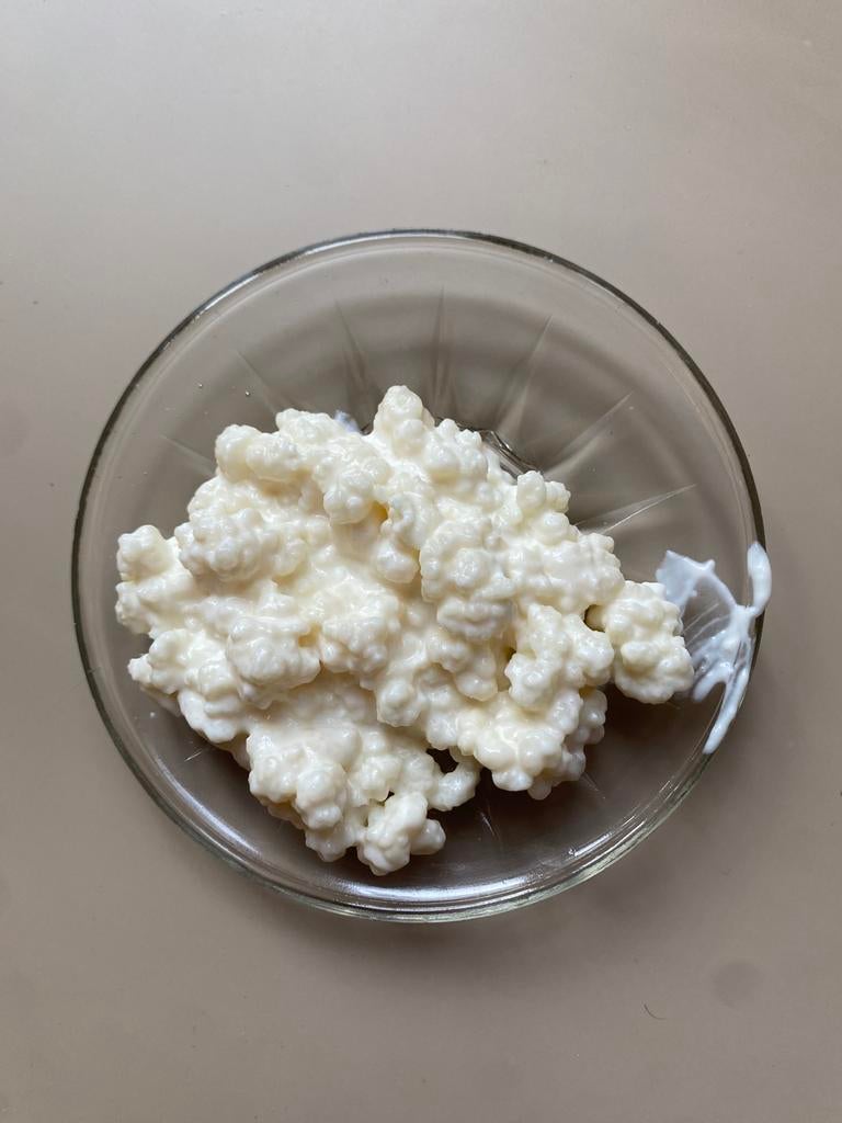 50 gram melk kefir korrels, Ophalen of Verzenden