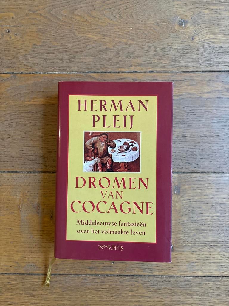 Dromen van Cocagne - Herman Pleij (Middeleeuwse fantasieën), Boeken, Ophalen of Verzenden, Zo goed als nieuw, Nederland