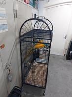 Mooie blauw gele Ara Blue, Dieren en Toebehoren, Vogels | Hokken en Kooien, Ophalen, Metaal, Vogelkooi