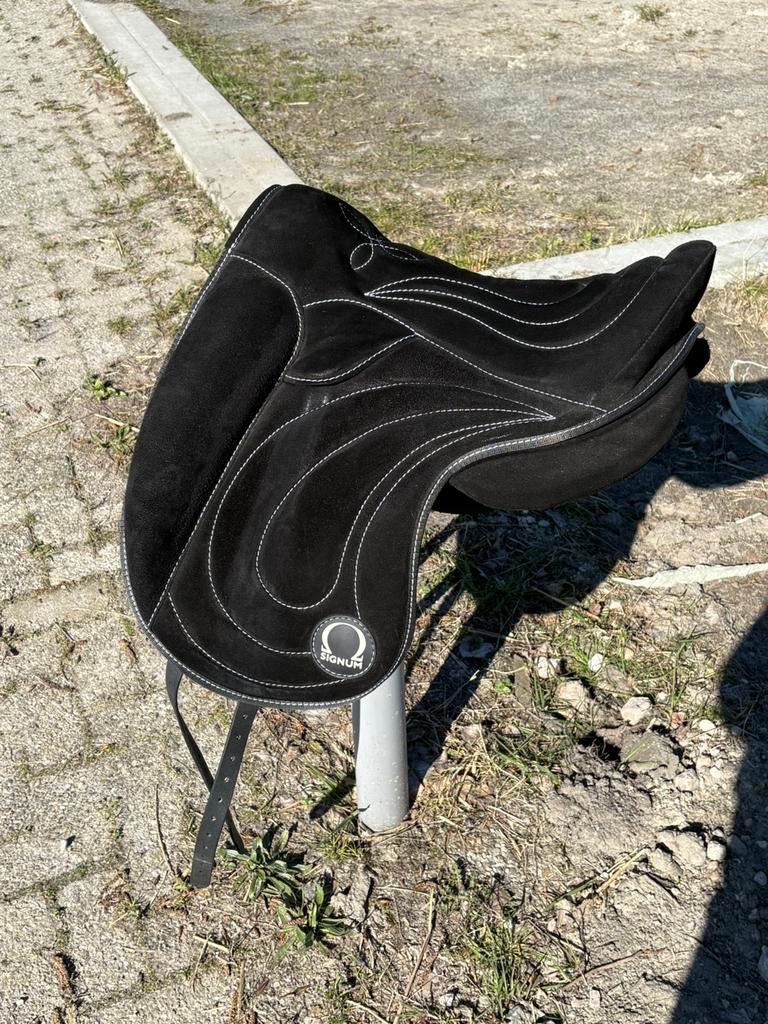 Signum paddle maat m, Dieren en Toebehoren, Ophalen of Verzenden, Nieuw, Dressuur