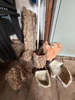 Terrarium set, Ophalen, Tak, Plant, Rots of Steen