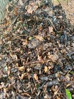 GRATIS Verse bladeren, kippenvoer voor compost tuinbemesting, Ophalen, Compost