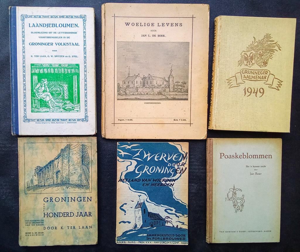 Antieke boeken over Groningen en het Gronings (1916-1949), Boeken, Streekboeken en Streekromans, Gelezen, Ophalen of Verzenden