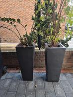 Bloempotten, Tuin en Terras, Ophalen