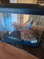 Aquarium, Ophalen, Leeg aquarium