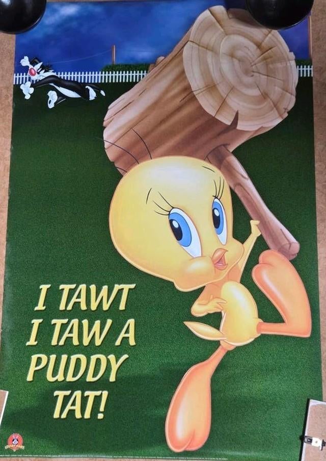 Vintage 90s Poster van Looney Tunes - 93x62cm, Ophalen of Verzenden, Zo goed als nieuw