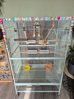 Vogelkooi met toebehoren te koop., Dieren en Toebehoren, Ophalen, Gebruikt, Metaal, Vogelkooi