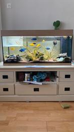 Juwel rio 180 (met garantie) compleet met inhoud/visbestand, Ophalen, Zo goed als nieuw, Gevuld zoetwateraquarium