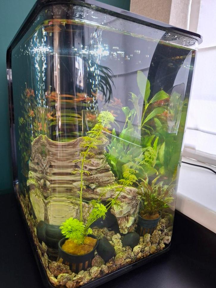 Biorb Led 30 liter, Dieren en Toebehoren, Vissen | Aquaria en Toebehoren, Gebruikt, Grind, Zand of Voedingsbodem, Ophalen