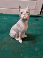 beeld boxer porselein, Ophalen of Verzenden