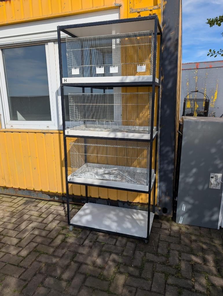 Zelfbouw Vluchten voor vogels, Dieren en Toebehoren, Ophalen, Gebruikt, Overige materialen, Vogelkooi