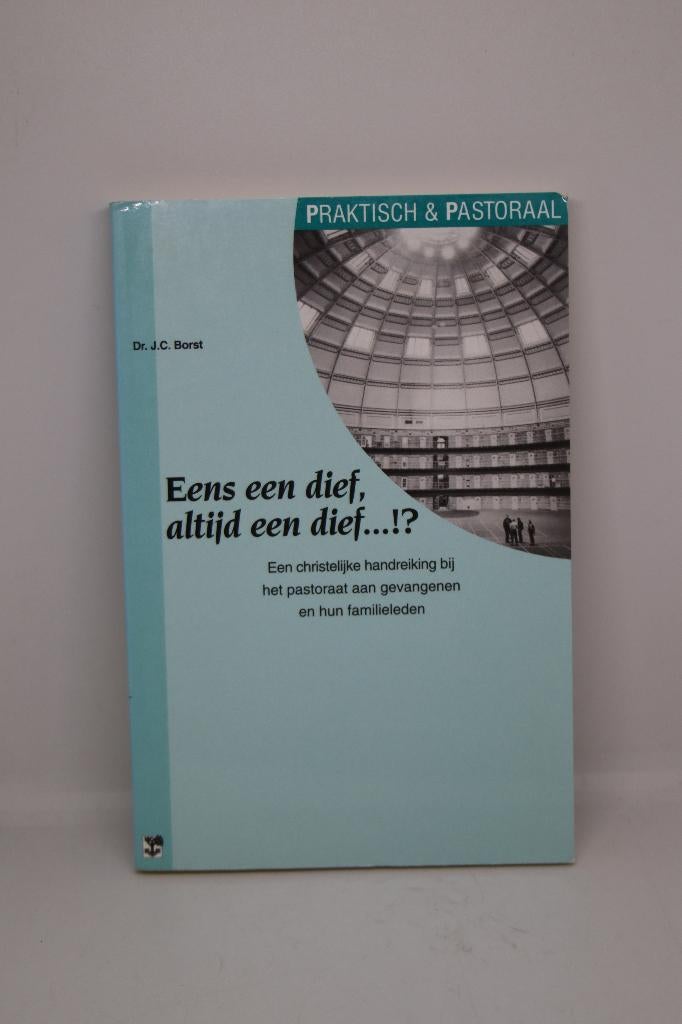 Eens een dief, altijd een dief…?! - J.C. Borst, Ophalen of Verzenden, Gelezen