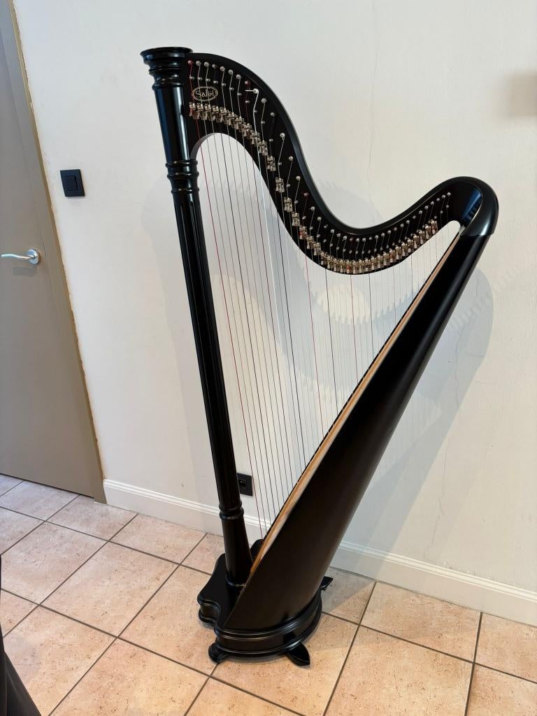 Harp Salvi Ana 38, Ophalen, Zo goed als nieuw