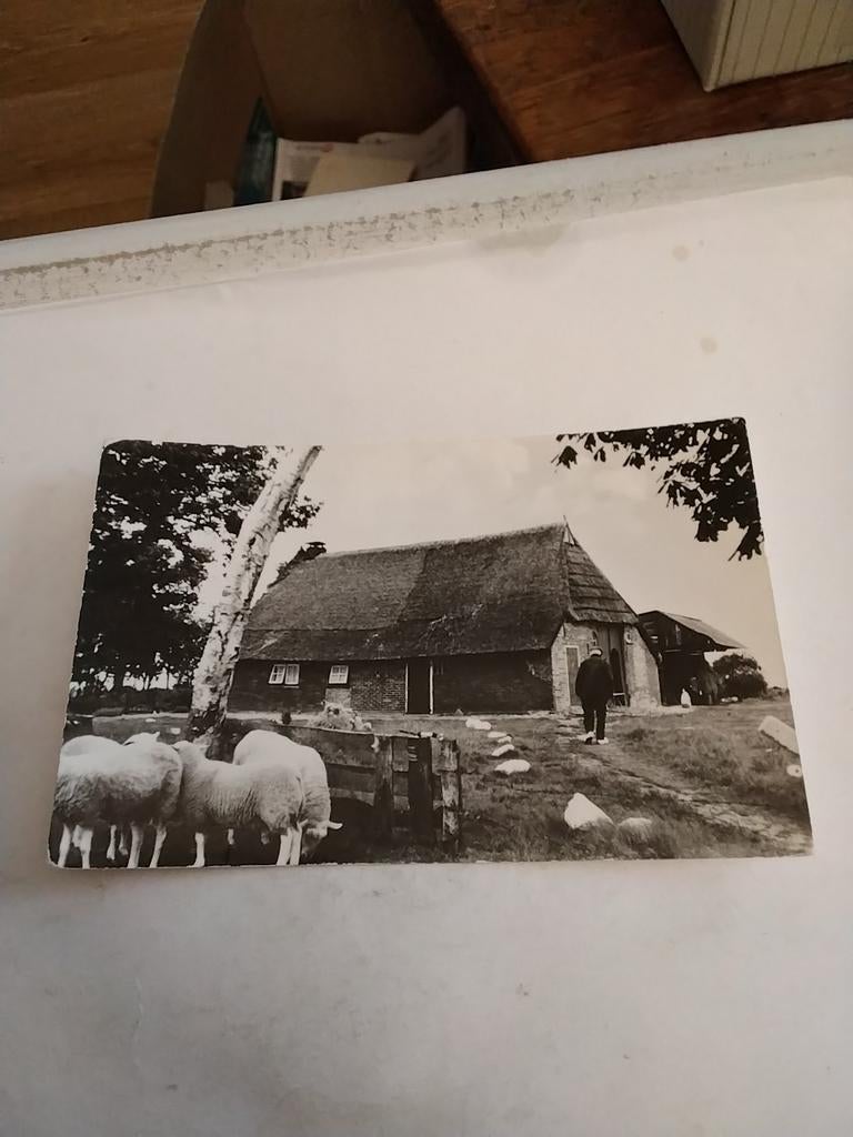 OUD DRENTS. BOERDERIJTJE, Ophalen of Verzenden, Voor 1920, Sterren en Beroemdheden