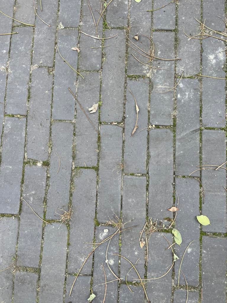 Hard gebakken waaltjes strak ! 31,5 m2, Tuin en Terras, Tegels en Klinkers, Ophalen, Zo goed als nieuw, Klinkers