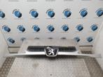 PEUGEOT 206 2.0 HDi Quiksilver  [GRILLE] 2005, Ophalen of Verzenden, Gebruikt, Stiba lid