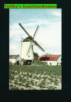 Didam molen (2), Verzenden, 1940 tot 1960, Ongelopen, Gelderland