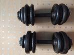 Gietijzeren Dumbbells - 30kg Totaal, Ophalen, Gebruikt, Rug, Dumbbell