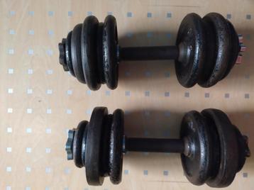 Gietijzeren Dumbbells - 30kg Totaal beschikbaar voor biedingen